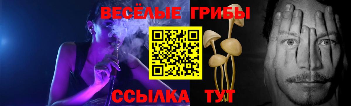Псилоцибиновые грибы Magic Shrooms Балтийск
